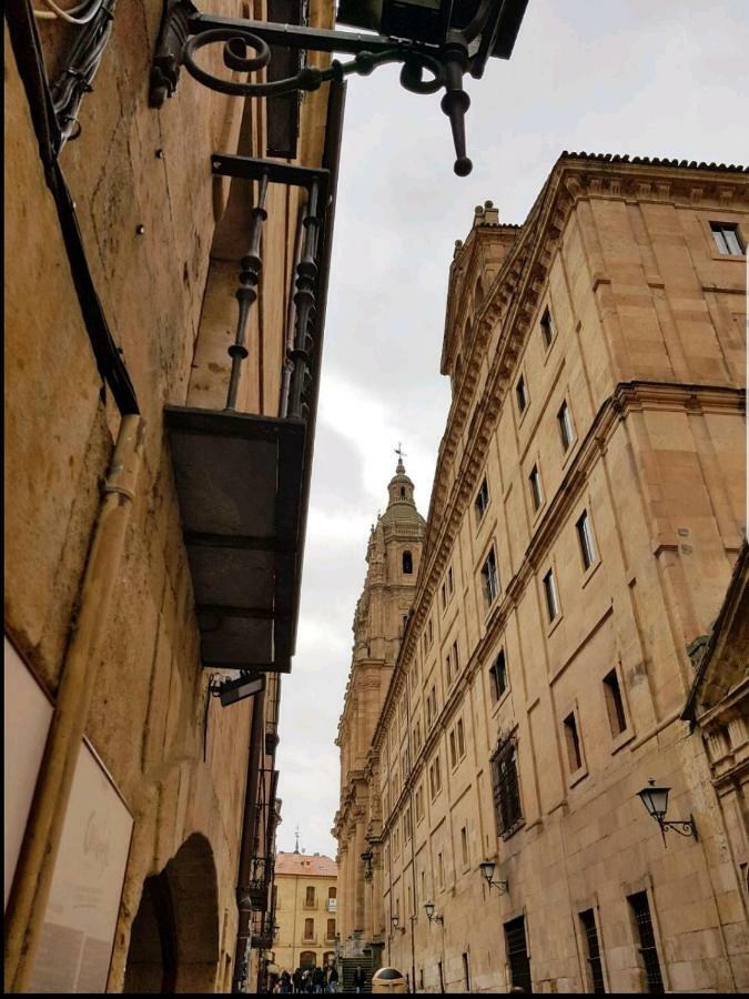 Apartamento S-Xviii La Ranita Salmantina Apartment Salamanca Luaran gambar